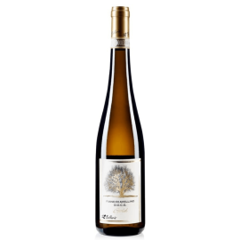 Fiano di Avellino DOCG 'Gold' 2020 (750 ml.) 13,5% - Bellaria