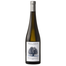 Falanghina Irpinia DOC 2021-13,5% Bellaria 75cl