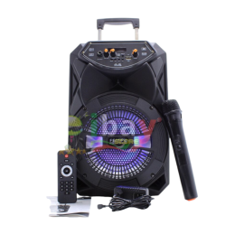 Cassa karaoke 1000pmpo sub 8p con microfono wifi inluso sd usb bt