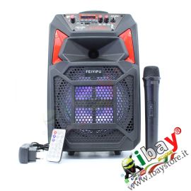 Cassa KARAOKE Portatile 1000 pmpo con microfono Bluetooth USB SD AUX telecomando