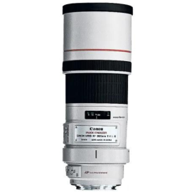 Canon EF 300mm f/4.0 L IS USM