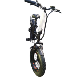 E-bike Fralud