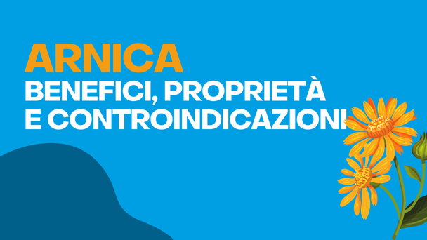 Arnica: Benefici, Proprietà e Controindicazioni