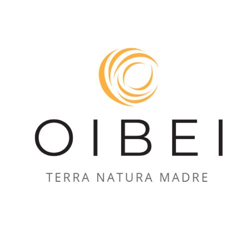 OIBEI-logo